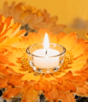 	 菊花丛中点燃的蜡烛9710#横屏 