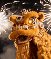 夜空中烟花下的舞狮6913#横屏 