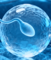 	 精子与卵细胞结合演示4201#横屏 