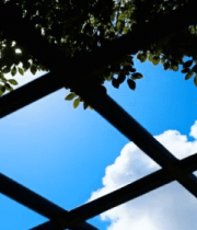 仰视天空下的绿植与网格结构5288#横屏 