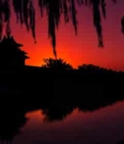 古建筑畔夕阳下的垂柳倒影502#横屏 