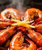  专业摄影器材展示3241#横屏 	 