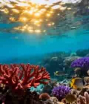 海底珊瑚礁与鱼群景象1110#横屏 