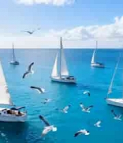 海上多艘帆船航行画面3508#横屏 