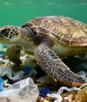 海龟在海洋垃圾中游泳4433#横屏 