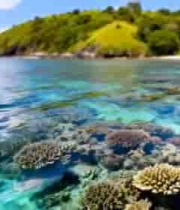 近海珊瑚礁与清澈海水景观1047#横屏 