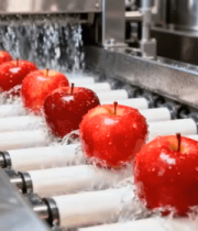 苹果在流水线上清洗9065#横屏 