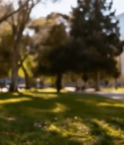 男子公园内休闲站立10539#横屏 