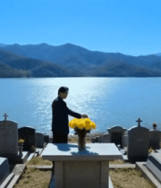 墓地男子献花远眺湖景62#横屏 