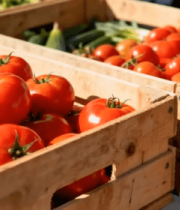 木箱中新鲜的西红柿11850#横屏 