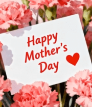 母亲节粉色康乃馨贺卡画面2559#横屏 