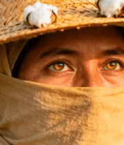 棉田农民头戴棉花草帽特写9981#横屏 