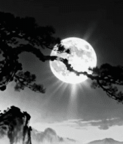 墨色月夜下的苍松13306#横屏 