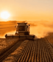 麦田收割机夕阳下作业2093#横屏 