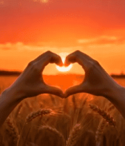 	 麦田中双手比心夕阳场景8938#横屏 