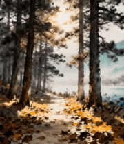 林间阳光洒落风景9996#横屏 