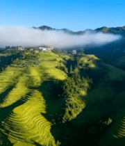 龙脊梯田自然风光俯瞰6687#横屏 
