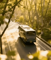 林荫道路上行驶的公交车9894#横屏 