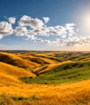 阳光照耀下的田野风光1181#横屏 