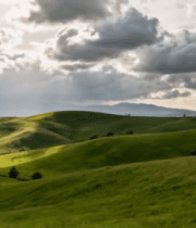 阳光照耀下的绿色草原风光6303#横屏 