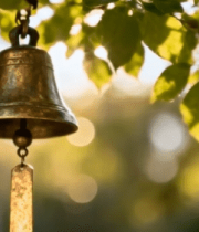 阳光下树枝上悬挂的铜铃8815#横屏 