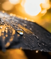 阳光下带水珠的黑色雨伞6232#横屏 