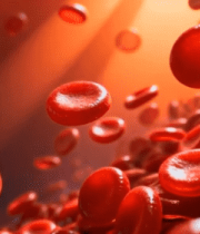 血液红细胞微观展示(1)8578#横屏 