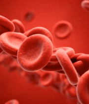 血液红细胞微观展示2696#横屏 