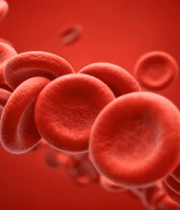 血液中红细胞展示10940#横屏 