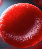 血液红细胞微观素材8008#横屏 