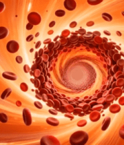 血液中红细胞流动素材(1)9502#横屏 