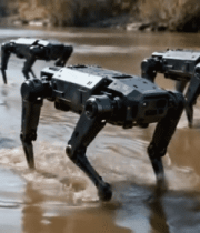 	 机器狗在水中行进素材9164#横屏 