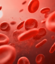 血液中红细胞流动素材5234#横屏 