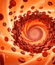 血液红细胞动态展示10261#横屏 