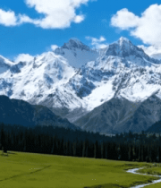 雪山下的草原森林风景6020#横屏 