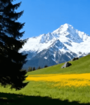 雪山下草地松林风景9883#横屏 