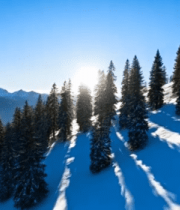 雪山松林日出全景6781#横屏 