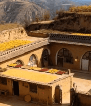 	 黄土高原农村窑洞晾晒场景5736#横屏 