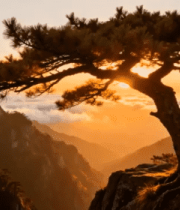 黄山迎客松日出全景1007#横屏 