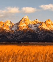 雪山下的金色草甸风光444#横屏 