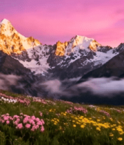 雪山下繁花盛开的自然风光12323#横屏 