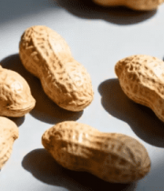 花生静物特写素材9481#横屏 