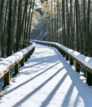 雪景中的中式古建筑10552#横屏 