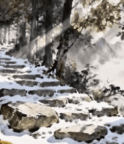 雪后林间石板路景象4227#横屏 