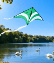 湖畔放风筝的自然风光2901#横屏 