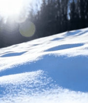 雪地森林阳光景色2891#横屏 