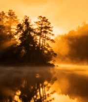 湖畔森林日出自然风光2946#横屏 