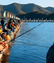 	 湖边多人垂钓场景5958#横屏 