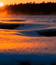 雪地日出森林自然景观3901#横屏 