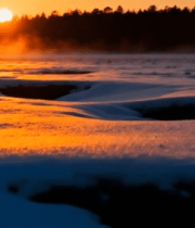 雪地日出森林自然景观3901#横屏 